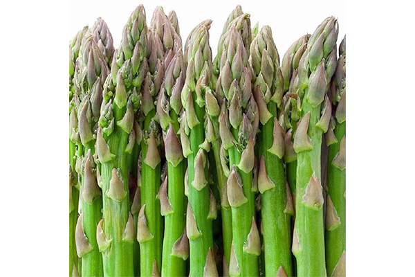 A superior variety that produces earlier, larger and more uniform yields of dark green spears with fairly compact heads.