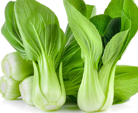 SMART F1 Hybrid Pakchoi