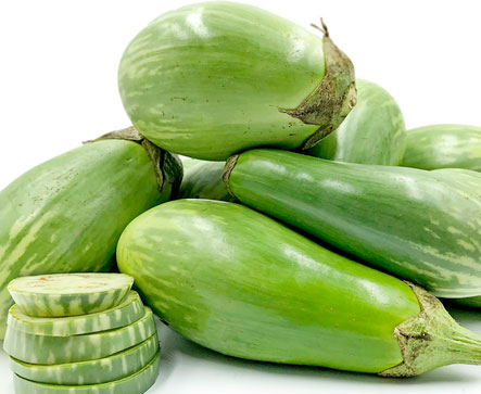 Eggplant GREEN NTULA
