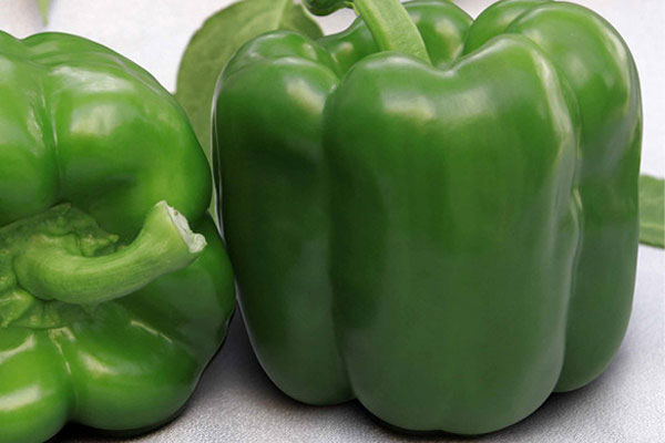 BATIAN F1 Hybrid Pepper