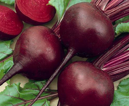 Beetroot DETROIT DARK RED