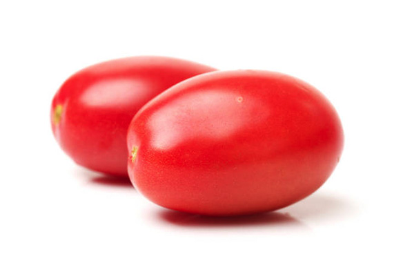 TERSAL F1 Hybrid Tomato