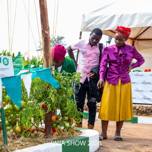 Farmers at Continental Seeds Demo Plot, Jinja, Uganda